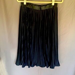 Dennis Dennis Basso pleated skirt